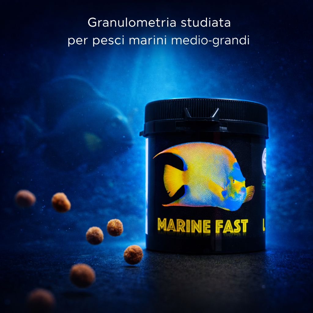 Imballaggio professionale prodotti acquario marino