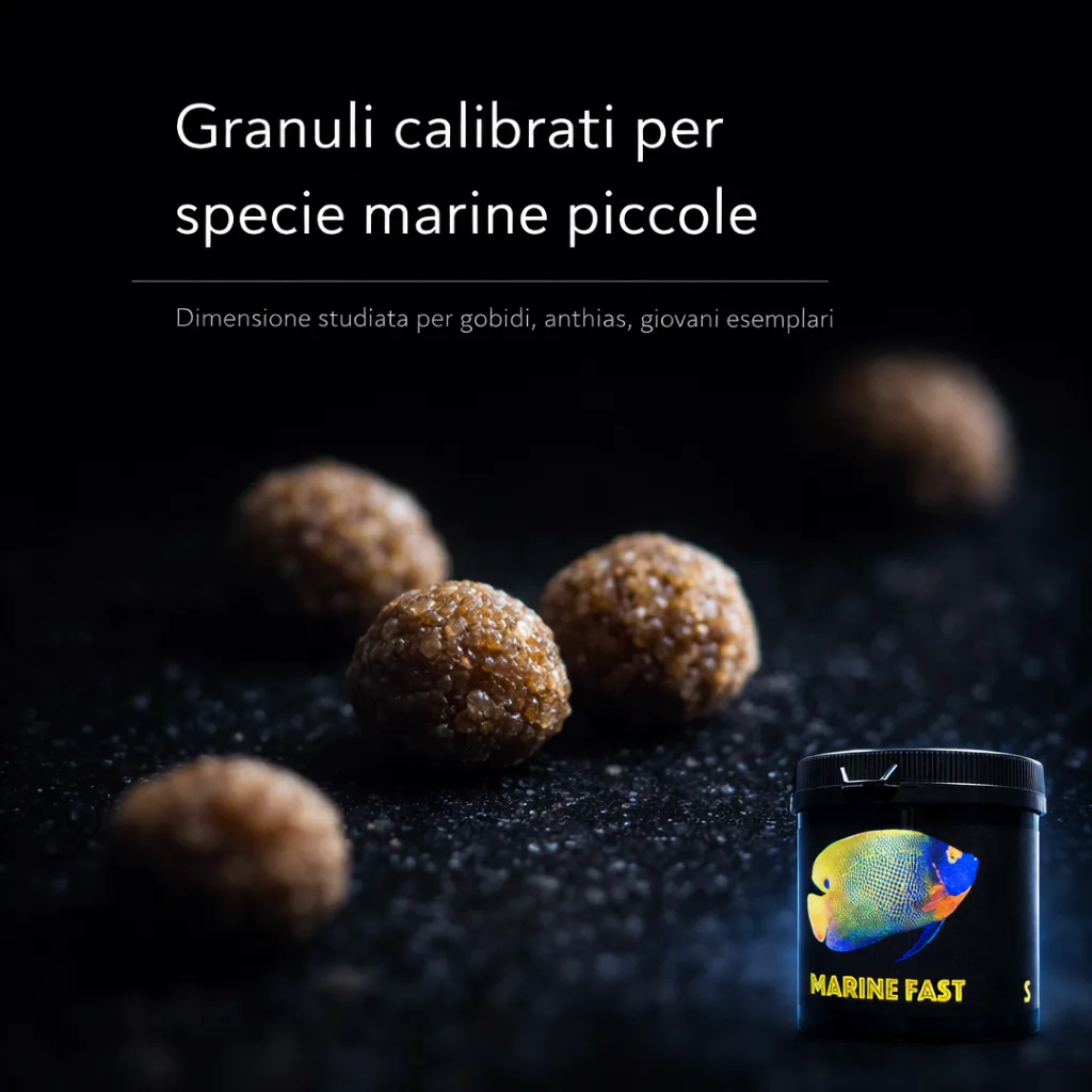 Planctontech Marine Fast S – Mangime granulare per pesci marini - immagine 4