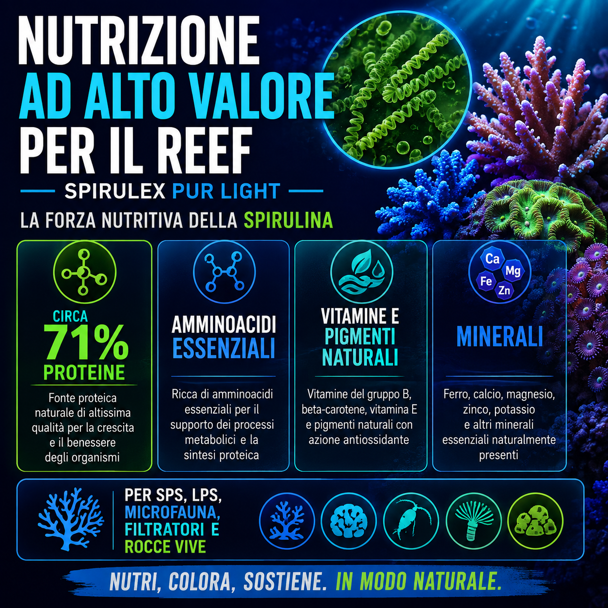 PlanctonTech Spirulex PUR Light – Spirulina per Coralli SPS e LPS - immagine 2