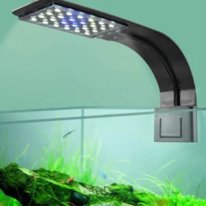 Blu Bios - Line Led