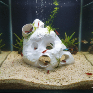 Casa per pesci, tartarughe e gamberetti