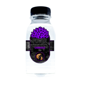 Power Aquaculture Gammarus – Zooplancton Vivo Acquario