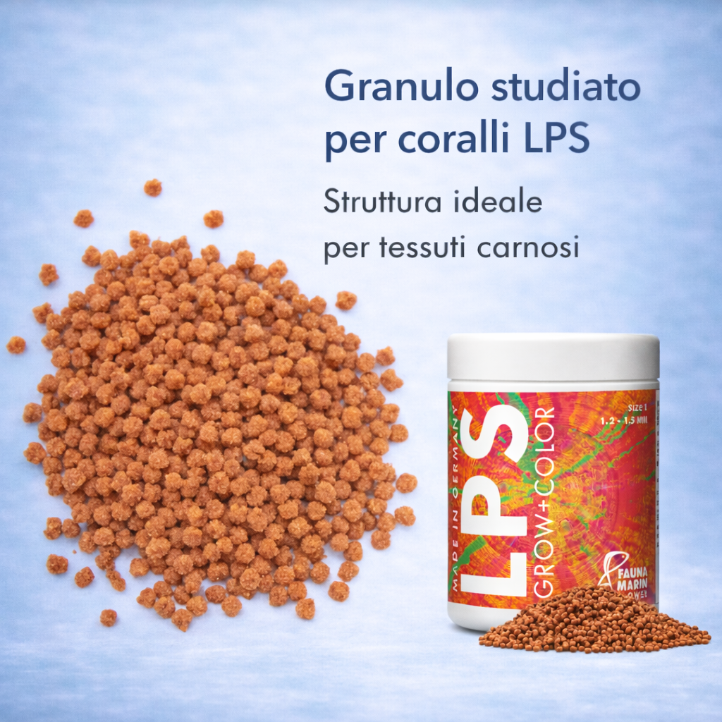 Fauna Marin LPS Grow + Color L 60 g - Nutrimento per Coralli LPS - immagine 2