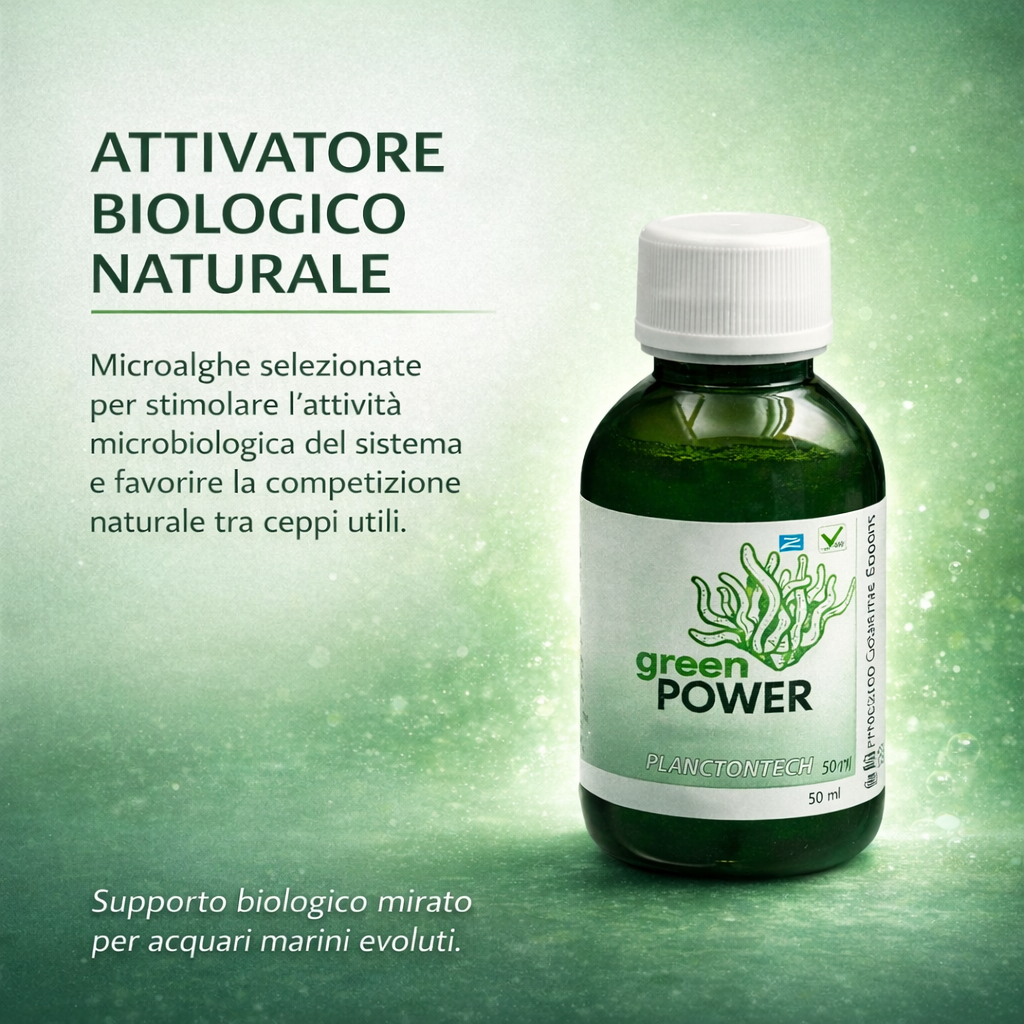 Planctontech Green Power fitoplancton vivo negozio acquari Torino