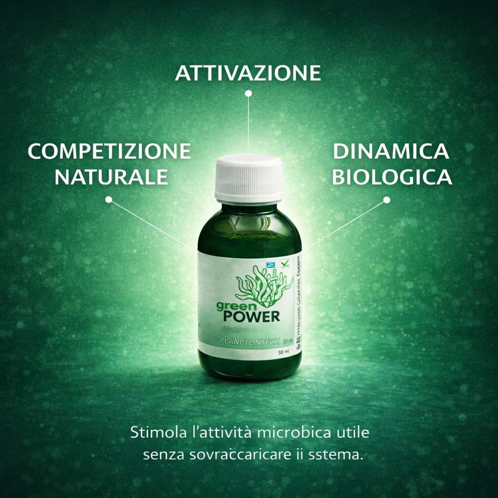 Planctontech Green Power 50ml – Fitoplancton Vivo - immagine 3