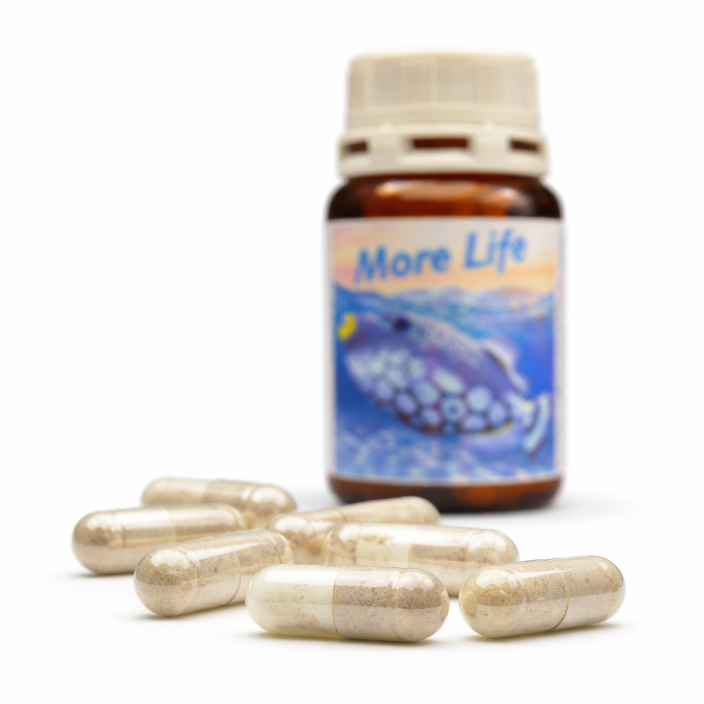 Planctontech More Life Integratore Pesci – Supporto Immunitario 10 Capsule - immagine 2