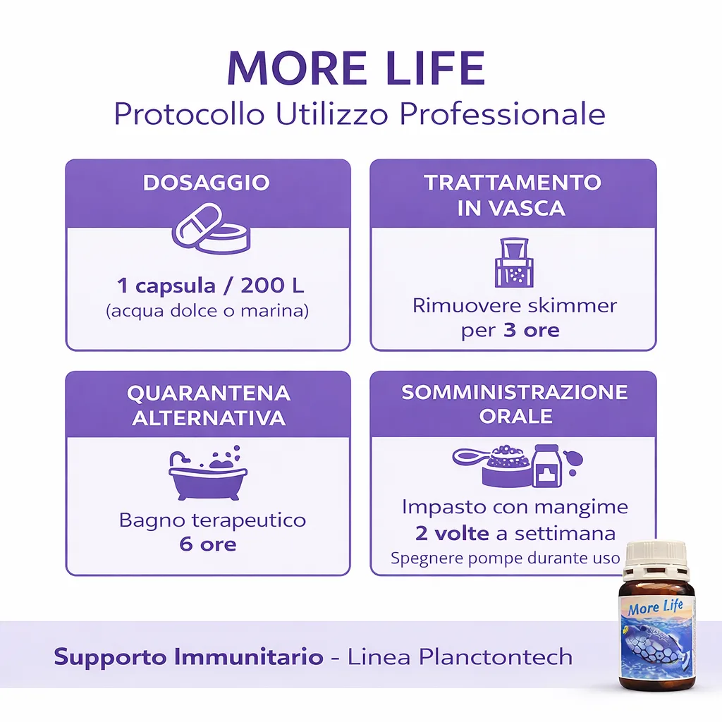 Planctontech More Life Integratore Pesci – Supporto Immunitario 10 Capsule - immagine 3
