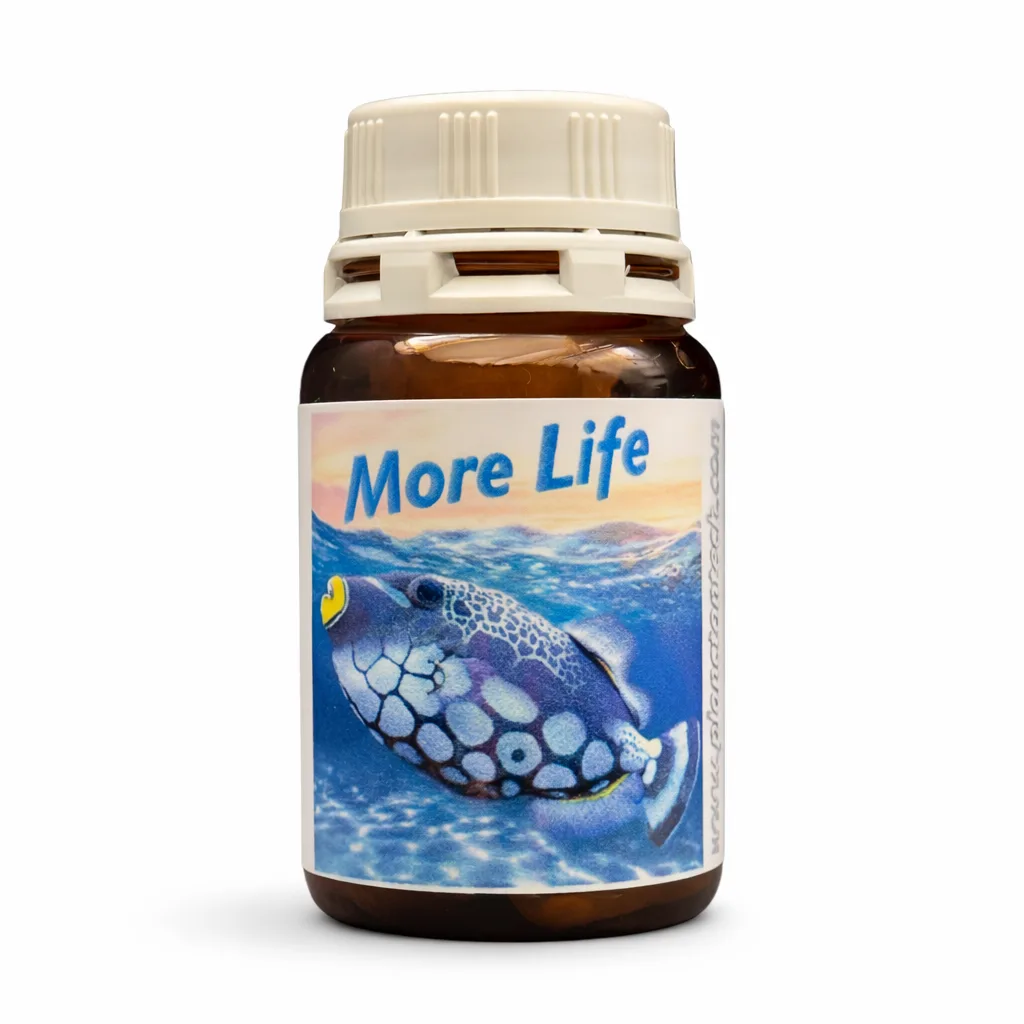 Planctontech More Life Integratore Pesci – Supporto Immunitario 10 Capsule