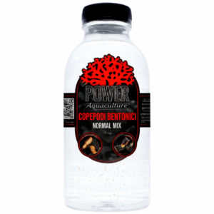 copepodi bentonici vivi per acquario marino 500ml power aquaculture