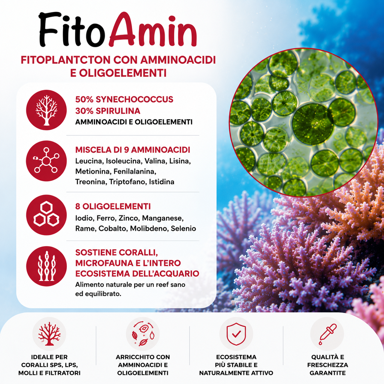 PlanctonTech FitoAmin 1000 ml – Fitoplancton con Aminoacidi per Coralli - immagine 2