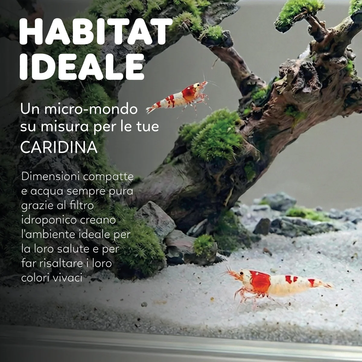 AQPet HYDO – Mini Acquario da Scrivania 3L con LED e Dock Station - immagine 6